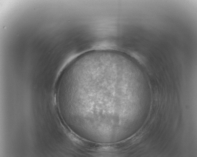 X0000067471462200604142338