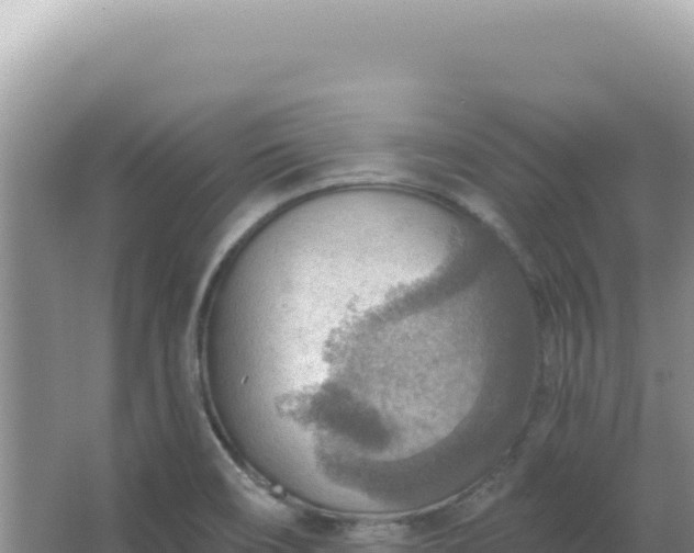 X0000067471466200604142338