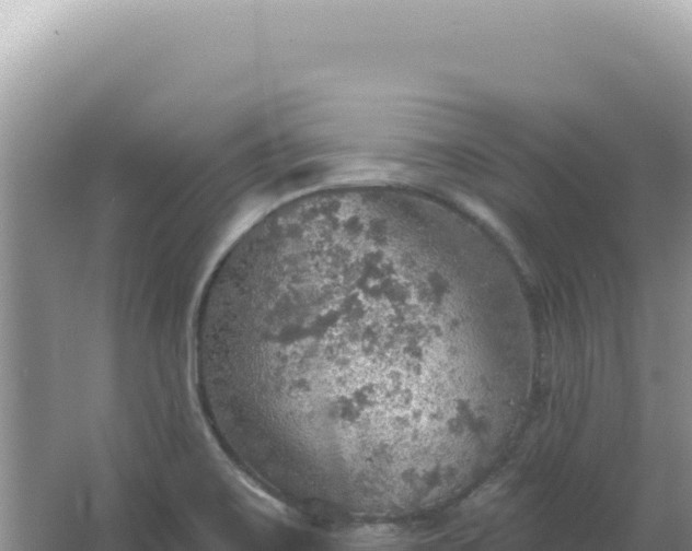 X0000067471467200604142338