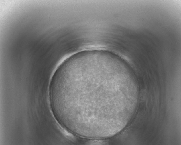 X0000067471470200604142338