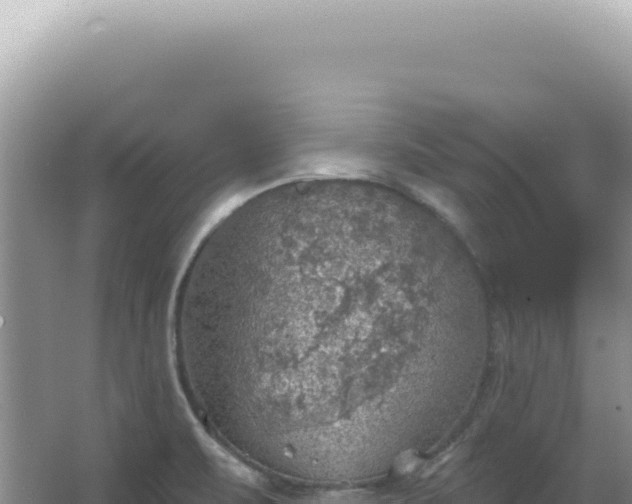 X0000067471471200604142338