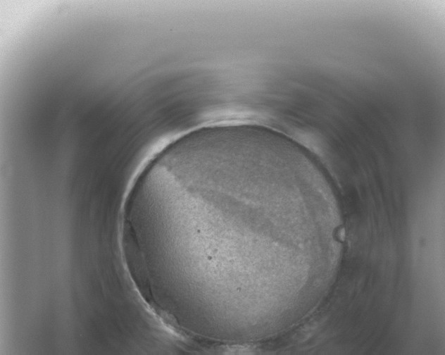 X0000067471472200604142338