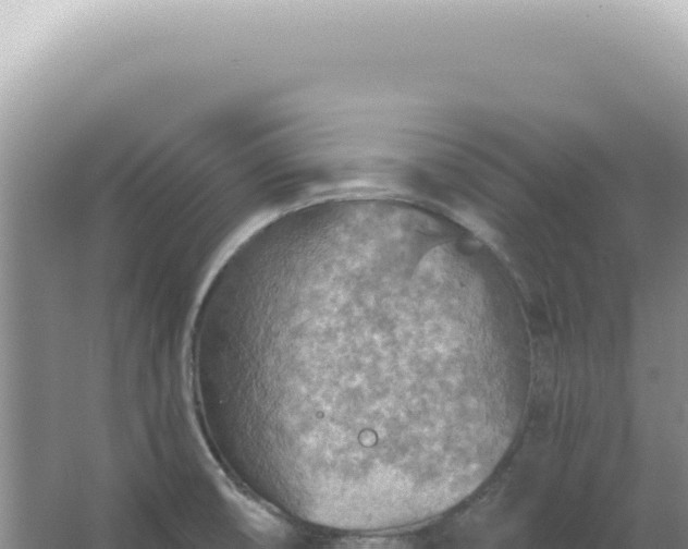 X0000067471474200604142338