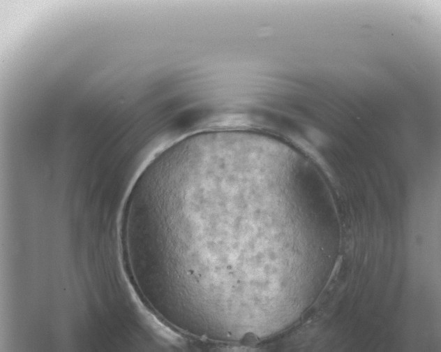 X0000067471475200604142338