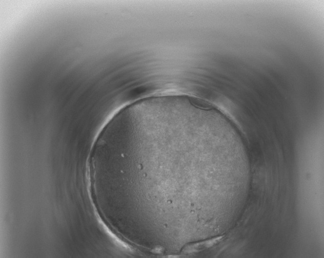 X0000067471476200604142338