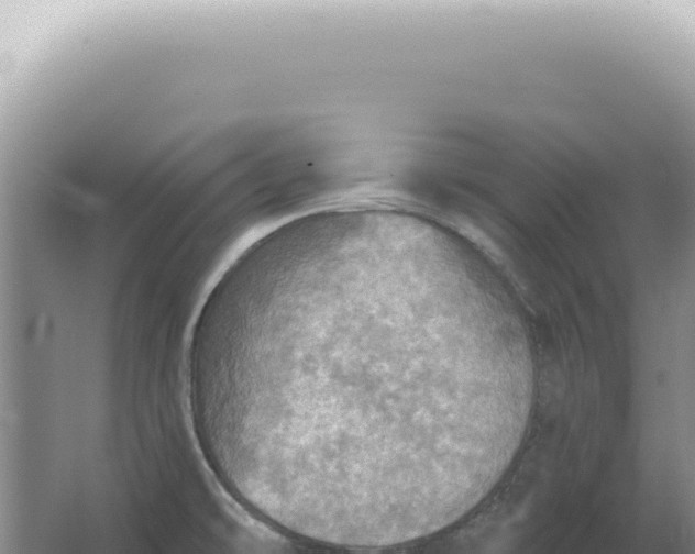 X0000067471478200604142337