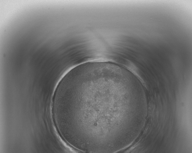 X0000067471484200604142337