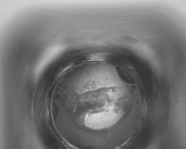 X0000067471487200604142337