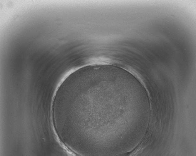 X0000067471488200604142337