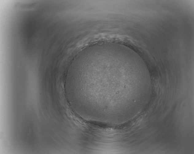 X0000067471489200604142336