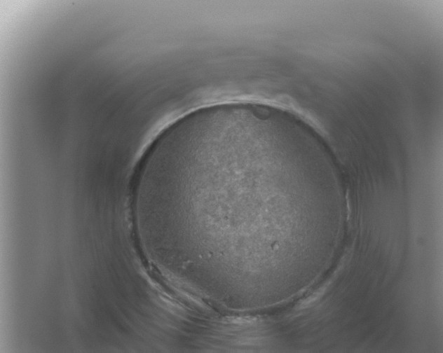 X0000067471501200604142337