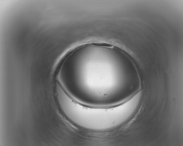 X0000067471502200604142337