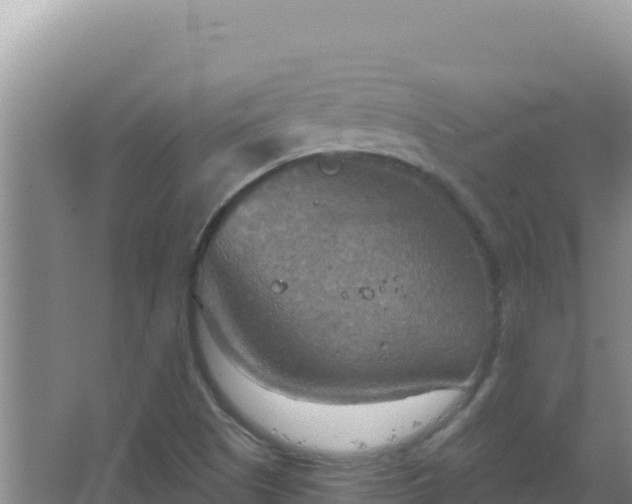 X0000067471505200604142337