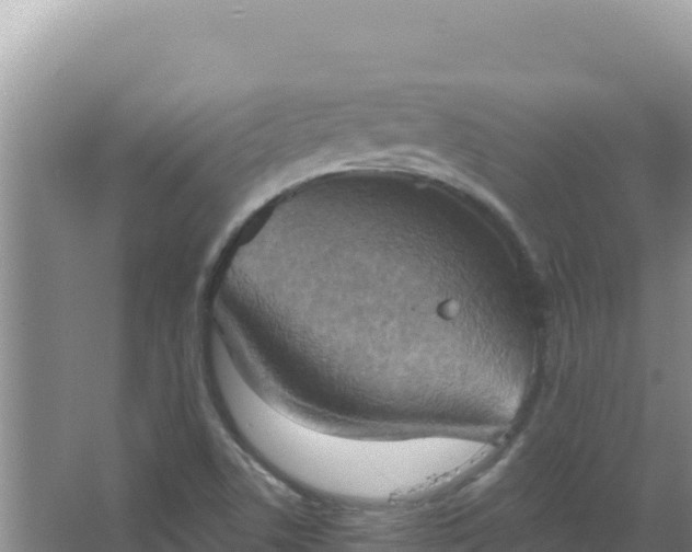 X0000067471506200604142337