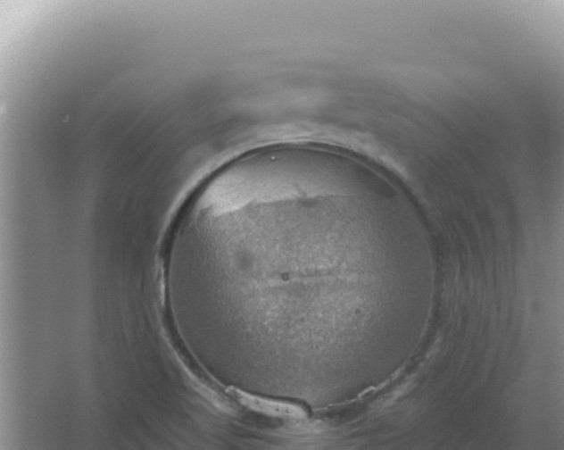 X0000067471509200604142337