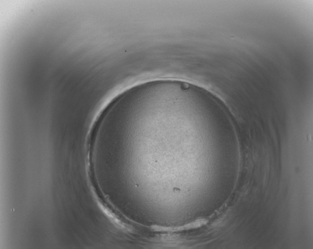 X0000067471511200604142337