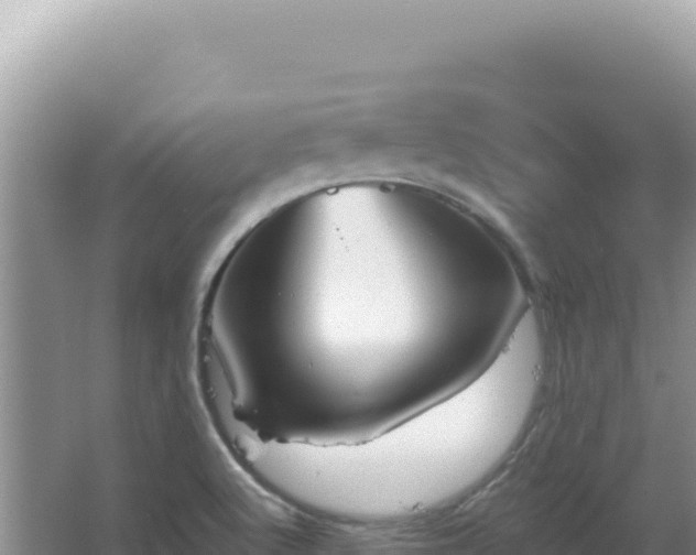 X0000067471512200604142337