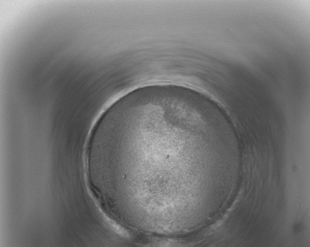 X0000067471517200604142337