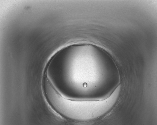 X0000067471518200604142337