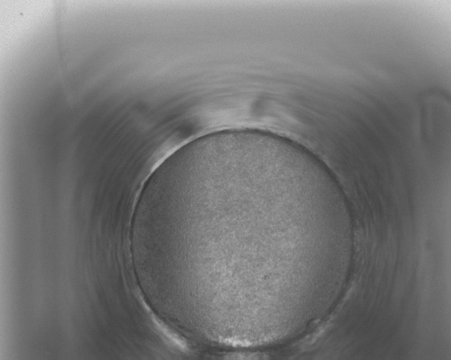 X0000067471521200604142337