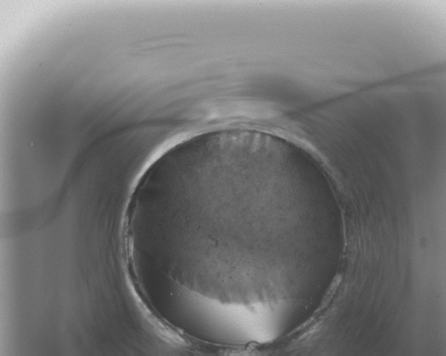 X0000067471522200604142337