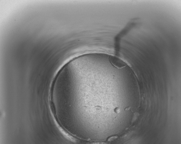 X0000067471523200604142337