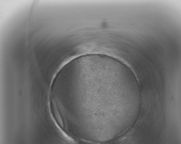 X0000067471525200604142337