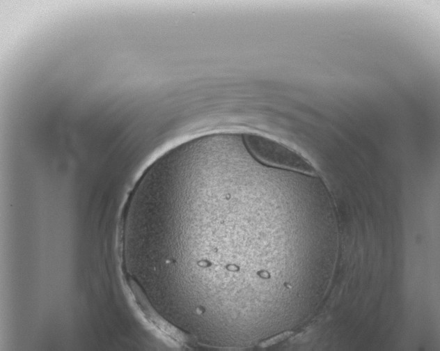 X0000067471526200604142337