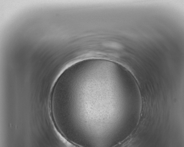 X0000067471531200604142337