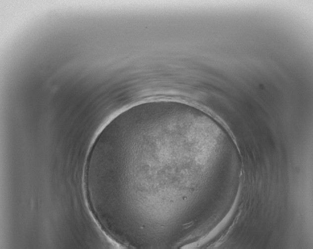 X0000067471533200604142337