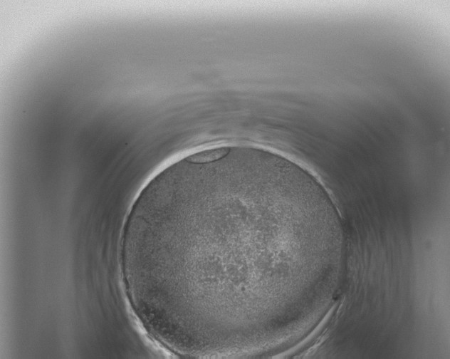 X0000067471534200604142337