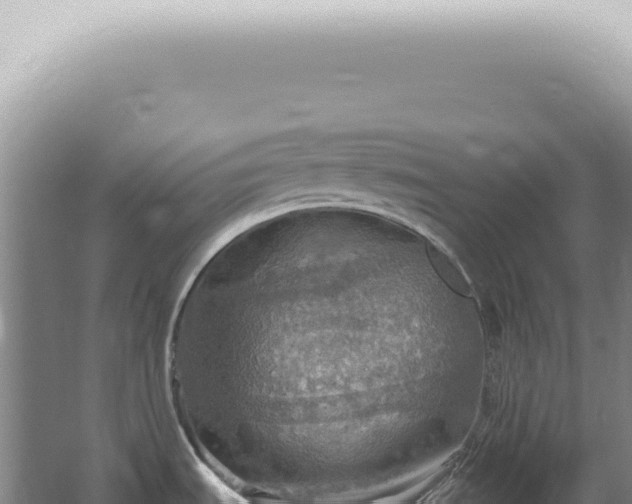 X0000067471535200604142337