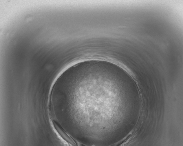 X0000067471536200604142337