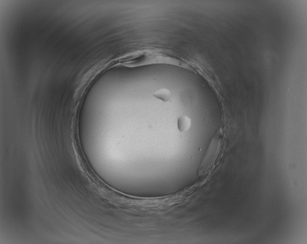 X0000067470001200604211619