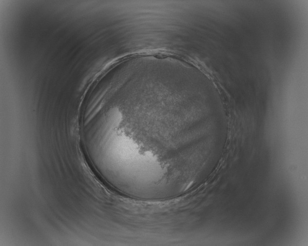 X0000067470002200604211619