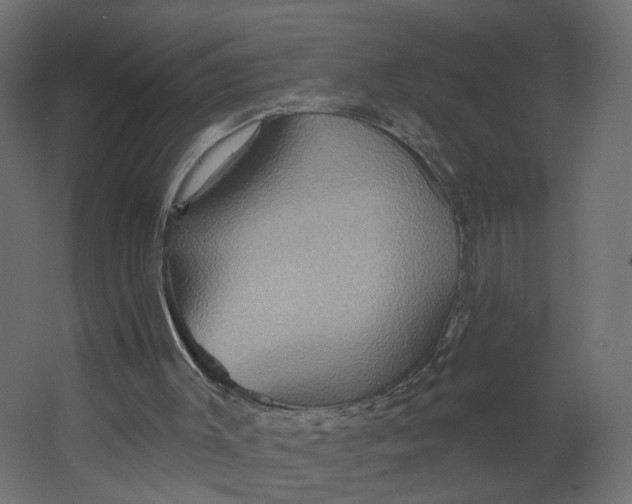 X0000067470003200604211619