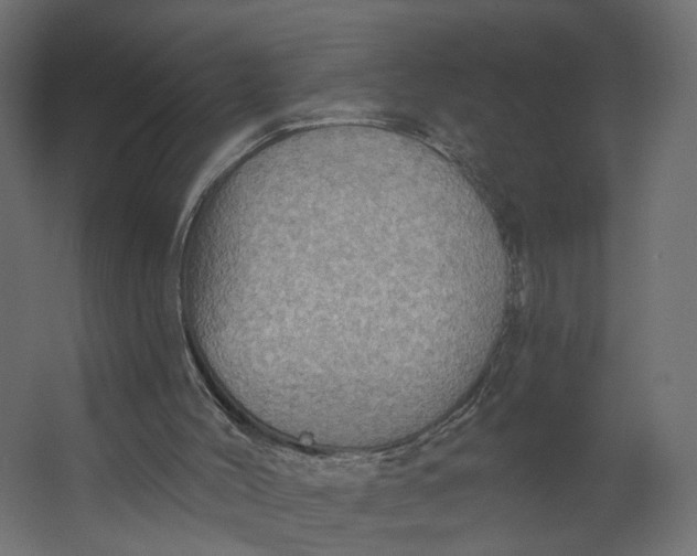 X0000067470004200604211619