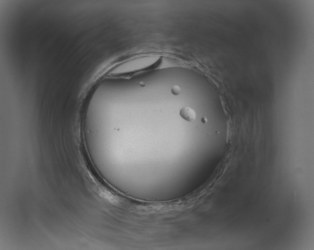 X0000067470005200604211619