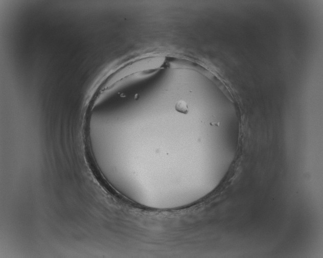 X0000067470007200604211619