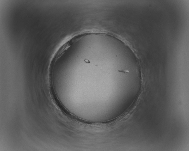 X0000067470008200604211619