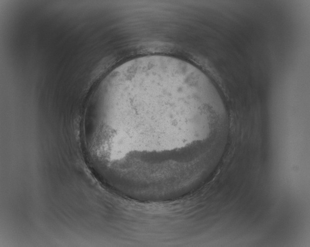 X0000067470010200604211619