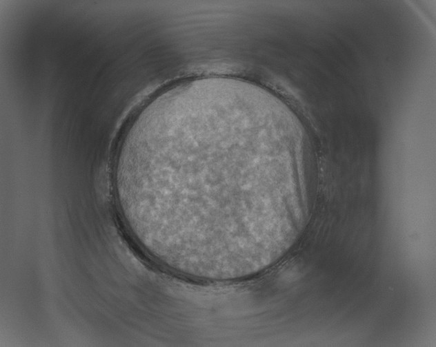 X0000067470012200604211619