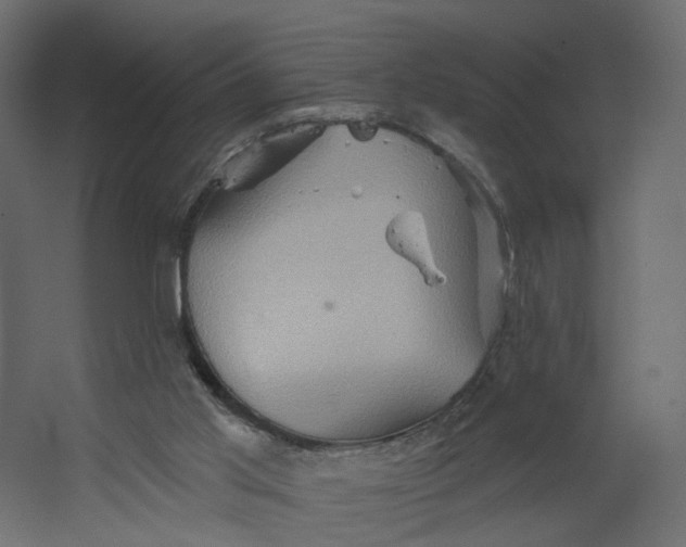 X0000067470013200604211619