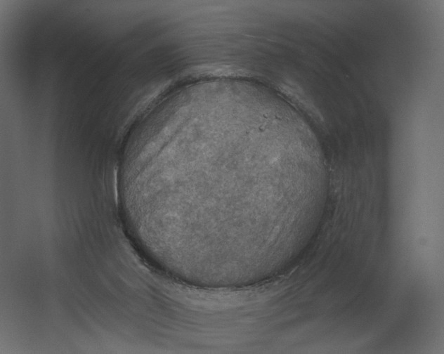 X0000067470014200604211619