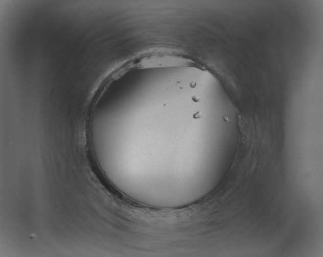 X0000067470015200604211619