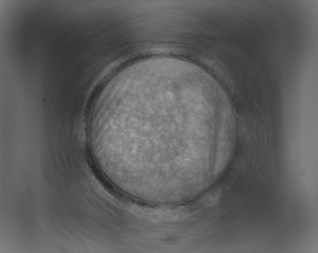 X0000067470016200604211619