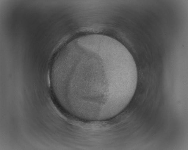 X0000067470020200604211619