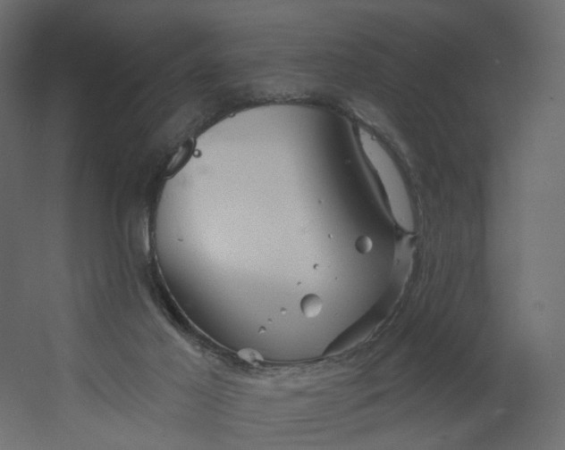 X0000067470021200604211619