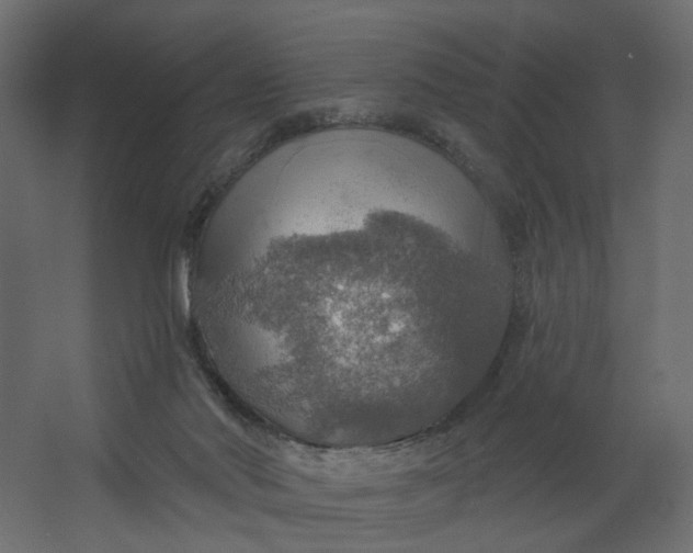 X0000067470022200604211619