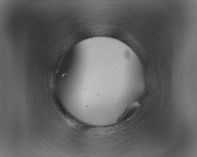 X0000067470025200604211619